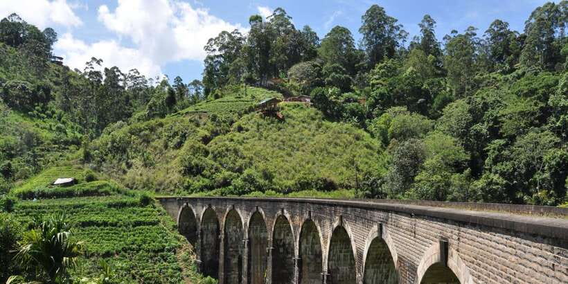 From Ella: Little Adam’s Peak and Nine Arches Bridge Hiking - Should you book this Little Adam’s Peak and Nine Arches Bridge hike?