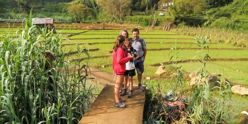 From Ella: Little Adam’s Peak and Nine Arches Bridge Hiking - Price and value: what $86 actually buys you