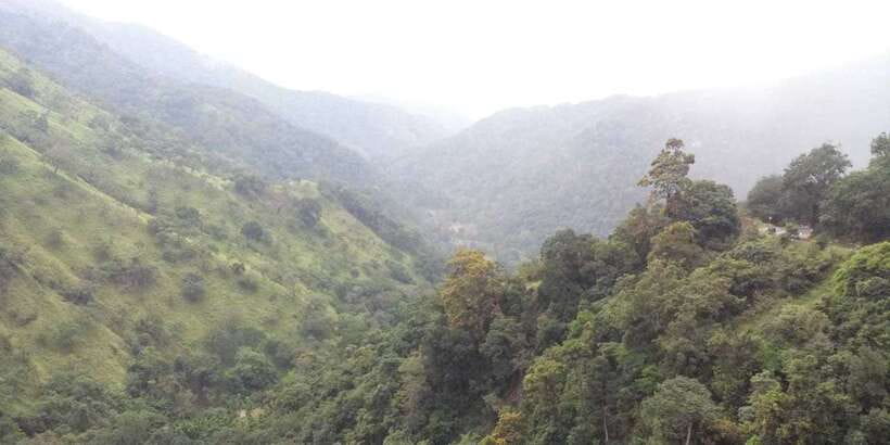 From Ella: Little Adam’s Peak and Nine Arches Bridge Hiking - Who should book this and who might skip it