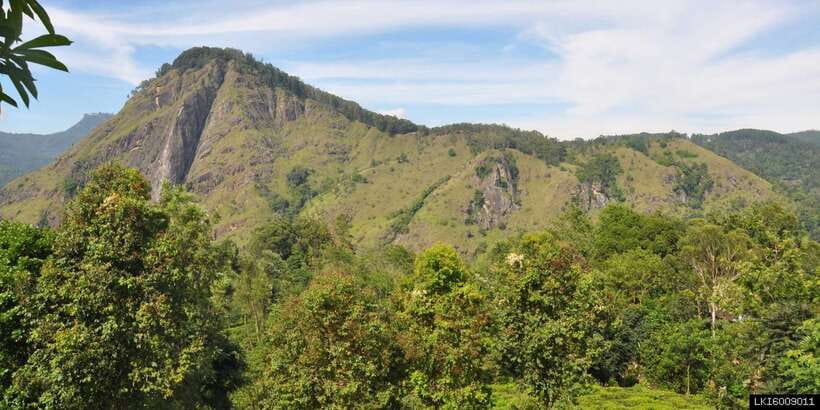 From Ella: Little Adam’s Peak and Nine Arches Bridge Hiking - Sunrise cookies and the quick reset