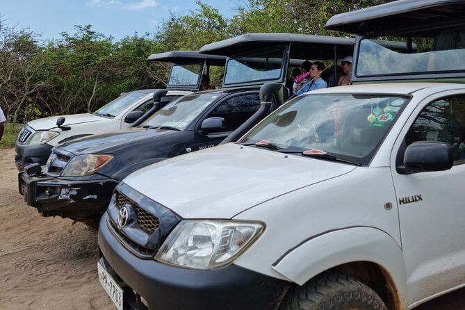 From Ella: Private Yala Safari & Transfer/Tangalle/Mirissa/Galla - What you will likely see in Yala, and how to manage expectations