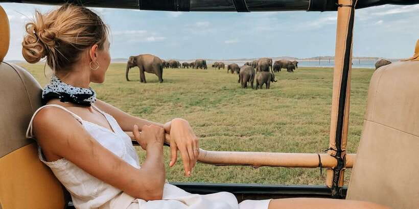 From ELLA to ARUGAM-BAY transfer with YALA Safari Tour - Key Highlights You’ll Actually Feel