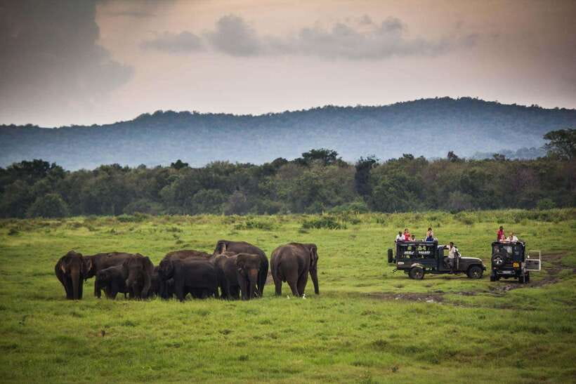 From Ella: Udawalawa Safari and Tangalle/Hiriketiya Transfer - Price And Value: What $48 Covers, And What You Still Pay