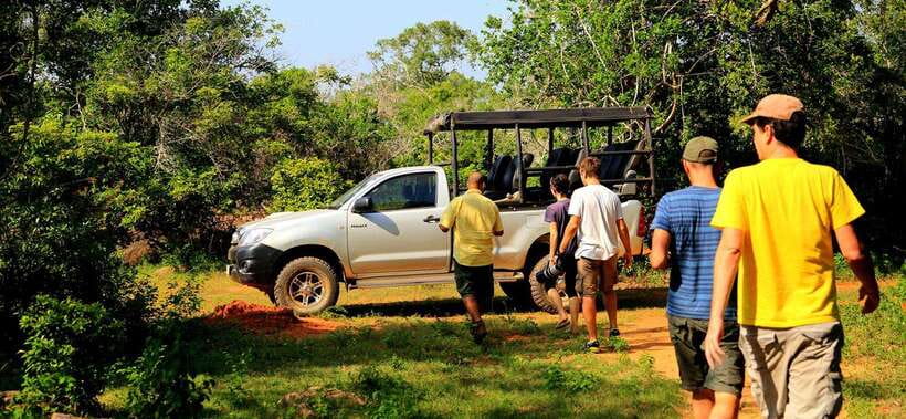 From Ella: Udawalawa Safari and Tangalle/Hiriketiya Transfer - From Your Ella Hotel To Udawalawe: The Transfer That Sets The Mood