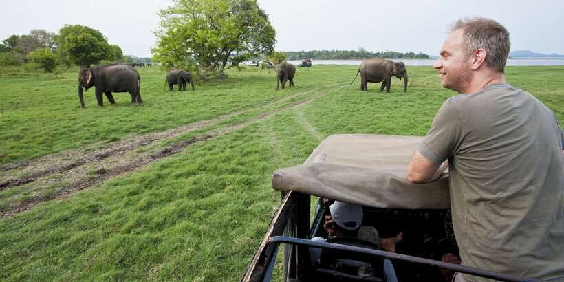 From Ella: Udawalawe Safari with Elephant Transit Home - Key things that make this tour work