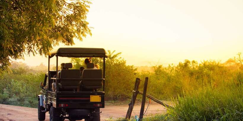 From Ella: Udawalawe Safari with Elephant Transit Home - What to Bring So the Day Feels Easy