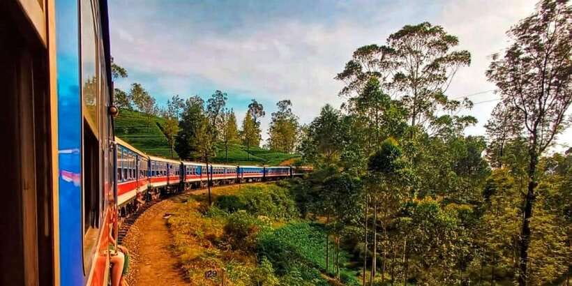 From Ella -Unforgettable Day Trip of 8 Sights & Train - Nine Arch Bridge plus the train ride: the emotional highlight