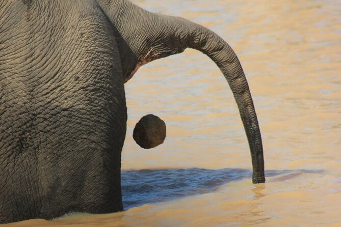 From: Ella - YALA Safari - Drop off: Arugam Bay / Arugambay - Key highlights to know before you go