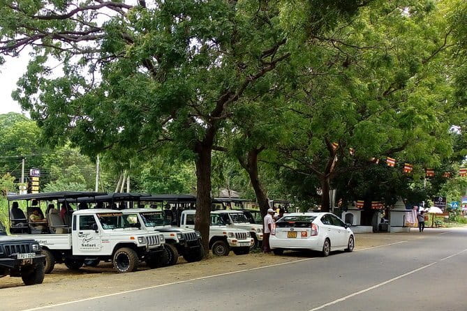 From: Ella - YALA Safari - Drop off: Arugam Bay / Arugambay - What you can actually spot in Yala besides the leopard