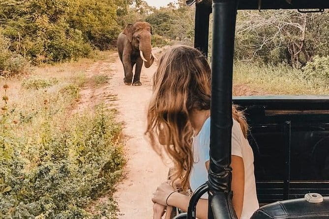 From: Ella - YALA Safari - Drop off: Arugam Bay / Arugambay - Price and entrance fees: what you should budget
