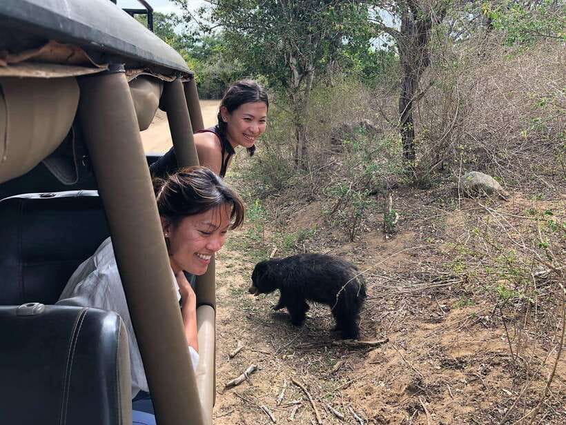 From Ella: Yala Safari Tour with Drop at Tangalle/Hiriketiya - The Heart of the Trip: Yala National Park Safari Time