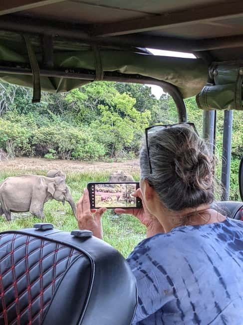 From Ella: Yala Safari & Transfer to Tangalle/Mirissa/Galle - Mirissa beach break: swimming time and optional whale watching