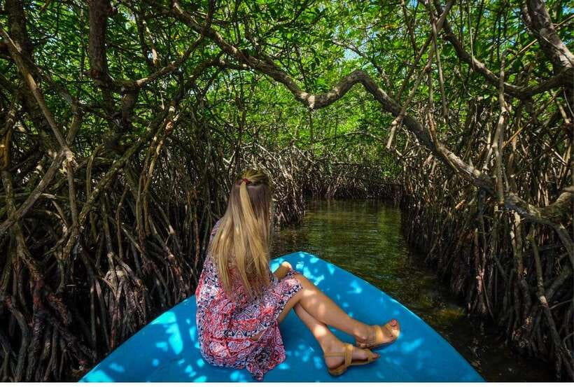 From Galle: Exclusive Madu River Safari & Turtle Hatchery - Cinnamon Island and Temple Island: Small Stops With Real Local Flavor
