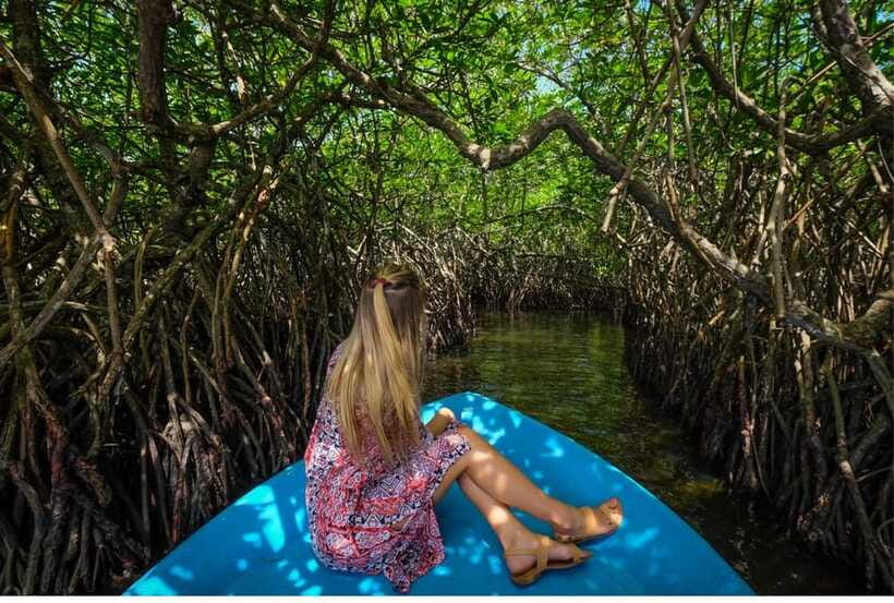 From Galle: Exclusive Madu River Safari & Turtle Hatchery - What I’d Do Differently: A Quick Improvement Idea