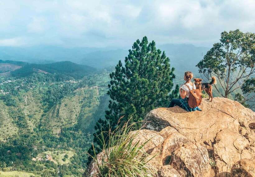 From Galle/Hikkaduwa/Mirissa -All-Inclusive Day Trip to Ella - A 7:00 AM south-coast start to Ella
