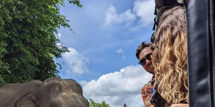 From Galle/Hikkaduwa/Mirissa Trip to Udawalawe Safari Tour - Guides and Language: English Support Can Make or Break It