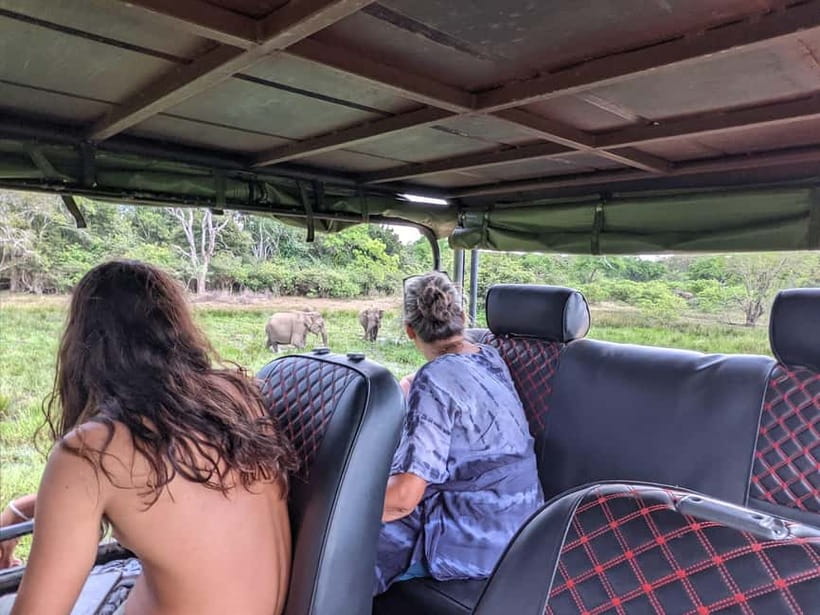From Galle/ Mirissa/ Tangalle : Udawalawa Safari & Drop Ella - Who this is best for, and who should skip it