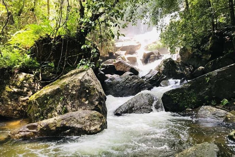 From Galle/Weligama/Mirissa/Matara: Day Trip to Sinharaja - Wildlife Spotting That Does Not Feel Like Luck