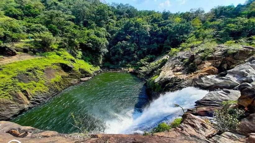 From Galle/Weligama/Mirissa/Matara: Day Trip to Sinharaja - Inside Sinharaja Rainforest Reserve With a Live English Guide