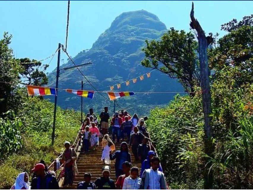 From Kandy: All Inclusive Adams Peak Epic Guided Hike - Midnight briefing at 12:30 am, and why the sanctuary matters