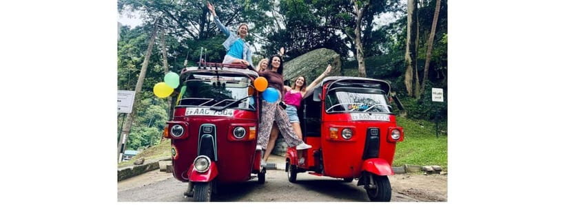 From Kandy: Dambulla to Sigiriya Day Tours - Minneriya National Park safari plus Thalkote Wewa