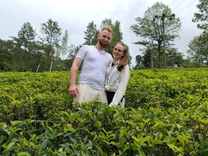 From Kandy: Ella Drop Tour via Nuwara Eliya - Price and Value: Why $42 Can Make Sense Here