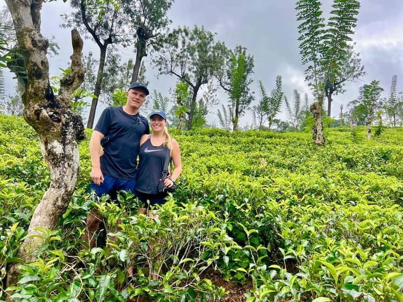 From Kandy: Ella Drop Tour via Nuwara Eliya - Who This Tour Fits Best (and Who Should Think Twice)