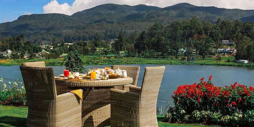 From Kandy: Nuwara Eliya by Train - Key things to know before you go