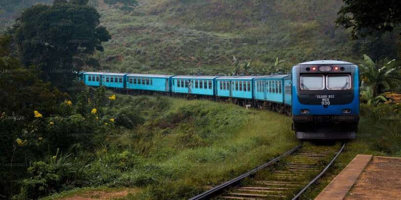 From Kandy: Nuwara Eliya by Train - Why the Kandy to Nuwara Eliya train day feels like good value