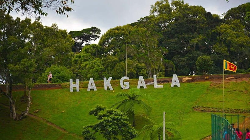 From Kandy: Nuwara Eliya Tour via Ambuluwawa [Private Tour] - Nuwara Eliya town time: Little England vibes, lake air, and park breaks