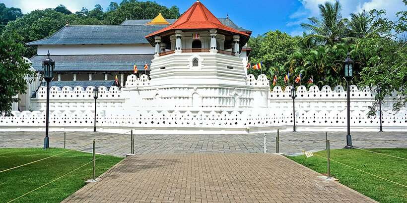 From Kandy: Pinnawala Day Tour - Pinnawala Elephant Orphanage, what you should expect and how to plan
