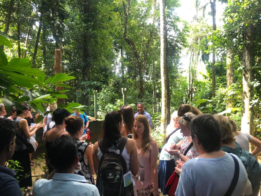 From Kandy: Pinnawala Day Tour - Royal Botanical Garden and the plant break you may not expect