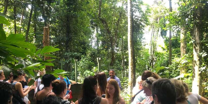 From Kandy: Pinnawala Day Tour - Kandy landmarks, Big Buddha, Asgiriya Stupa, and viewpoints