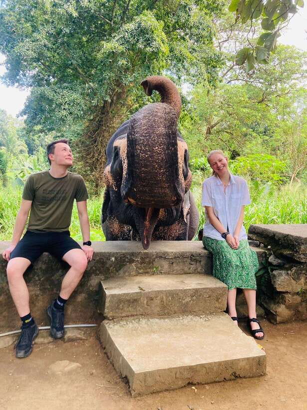 From Kandy : Pinnawala Elephant Orphanage & Ambuluwawa Tower - Kandy to Pinnawala and Ambuluwawa in One Long Day