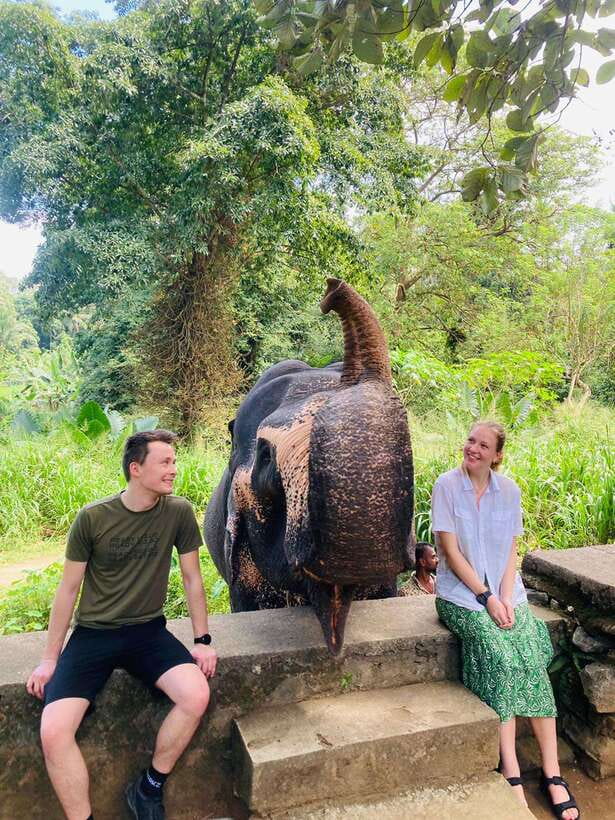 From Kandy : Pinnawala Elephant Orphanage & Ambuluwawa Tower - Pinnawala Elephant Orphanage: The Moment You Will Remember