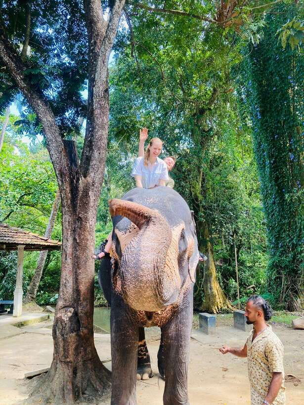 From Kandy : Pinnawala Elephant Orphanage & Ambuluwawa Tower - Price and Value: Is $20 Worth It in Kandy?