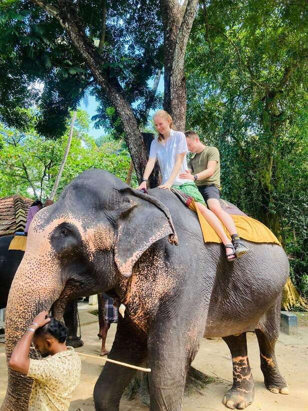 From Kandy : Pinnawala Elephant Orphanage & Ambuluwawa Tower - Sacred Tooth Relic, Viewpoints, and the Craft-Factory Stops