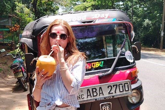 From Kandy: Private Sigiriya & Minneriya Elephant Safari Day Tour - What You’re Really Paying For: Flexibility and Private Transport