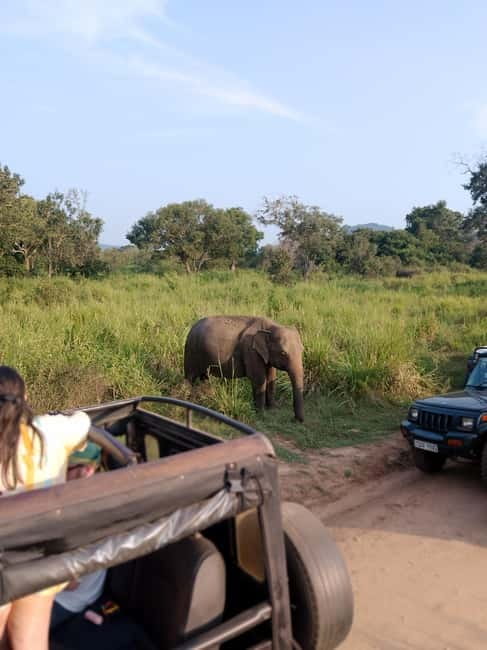 From Kandy: Sigiriya & Dambulla Day Tour with Safari - The Kandy Pickup and How the Day Feels