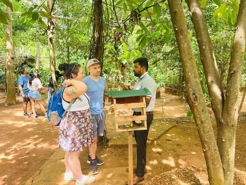 From Kandy: Sigiriya Day Tour with Elephant Safari(group) - Starting Early From Kandy: The Van Ride and the Real Schedule