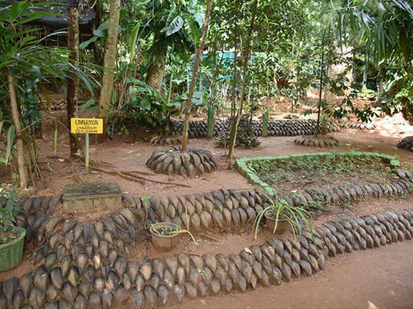 From Kandy: Sigiriya Guided Tuk-Tuk Tour - What the 10 Hours Really Feel Like in a Tuk-Tuk