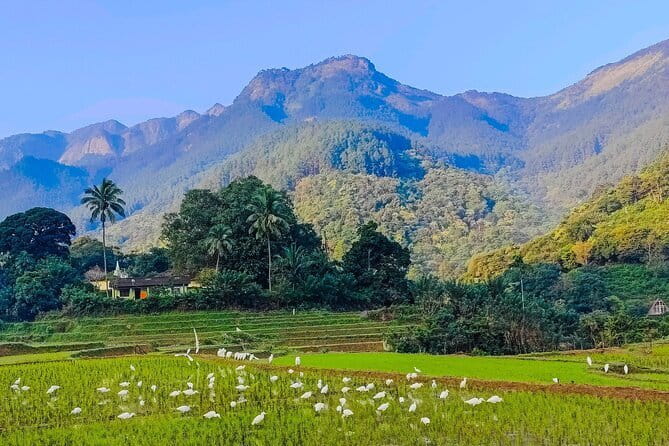 From Kandy to ELLA Private day tour - Seeta Amman Kovil: a short cultural stop in Nuwara Eliya District