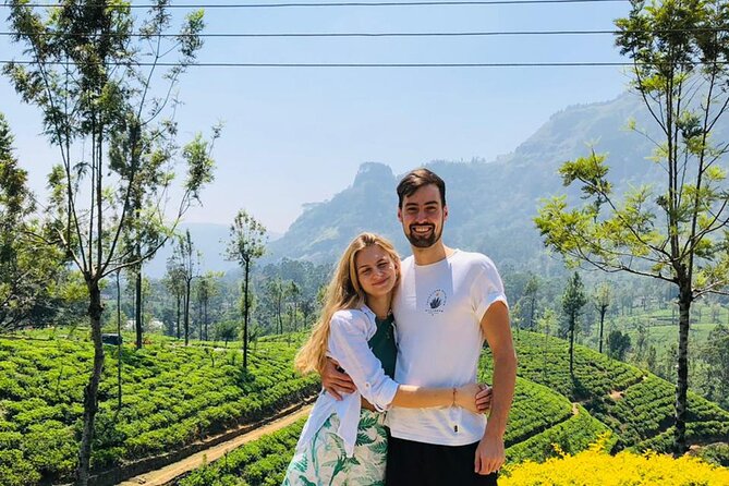 From Kandy to Nuwara Eliya Day Tour - Tea Plantation Visit: Where Questions Matter