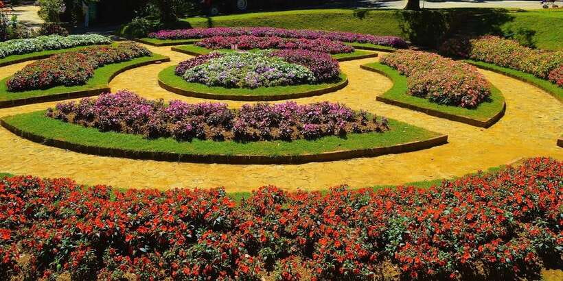 From Kandy To Nuwara Eliya Drop Tour - Private Tour - Optional Gregory Lake and Victoria Park: Choose Based on Your Pace