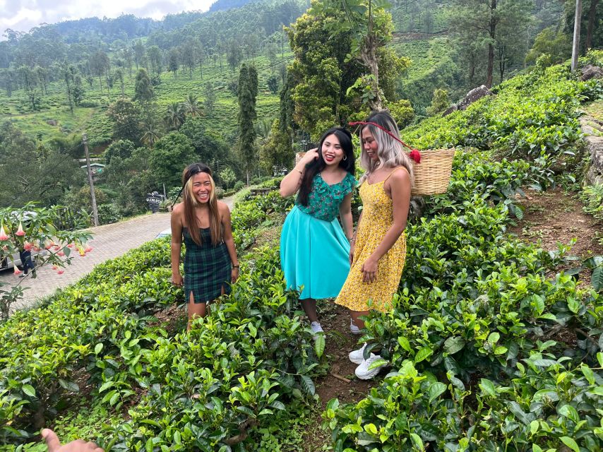 From kandy Train, and Pool Club Day Tour with Pickup - Uva Halpewatte Tea Factory Tour: Tea With Context, Not Just a Souvenir