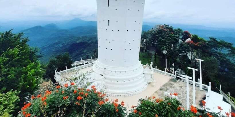From Negombo: Ambuluwawa Tower & Tea Factory,Kandy Day Trip - Tea factory and tea estate: learning the process without making it complicated