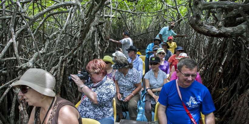 From Negombo: Bentota Full-Day Tour - Key highlights you will actually care about