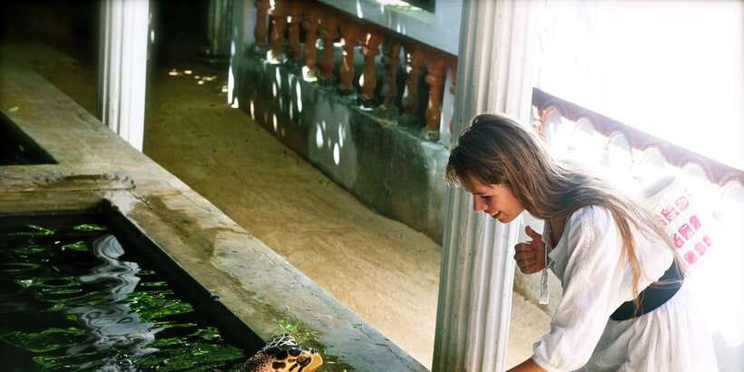 From Negombo: Bentota Full-Day Tour - From Avengard Hotels to Bentota, how the day really flows
