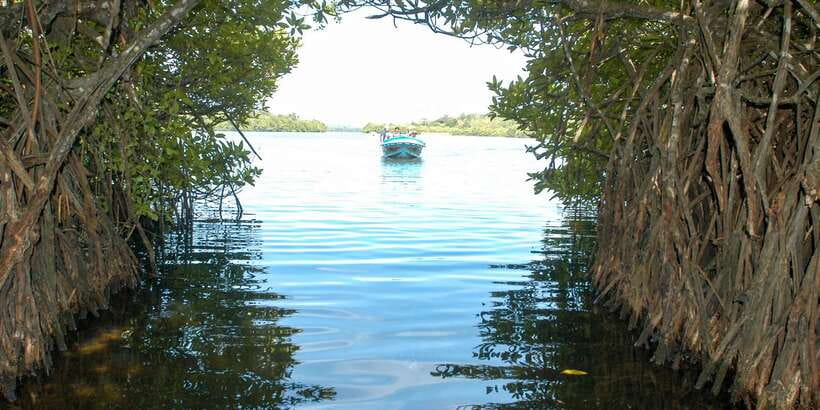 From Negombo: Bentota Full-Day Tour - What to bring, plus the rules that affect your packing