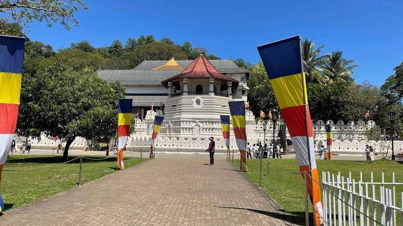 From Negombo : Pinnawala & Tea Factory & Kandy Full Day Trip - Key highlights you will actually care about